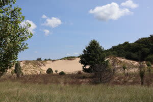 West Michigan lawmakers float plans to protect critical dunes from harmful development