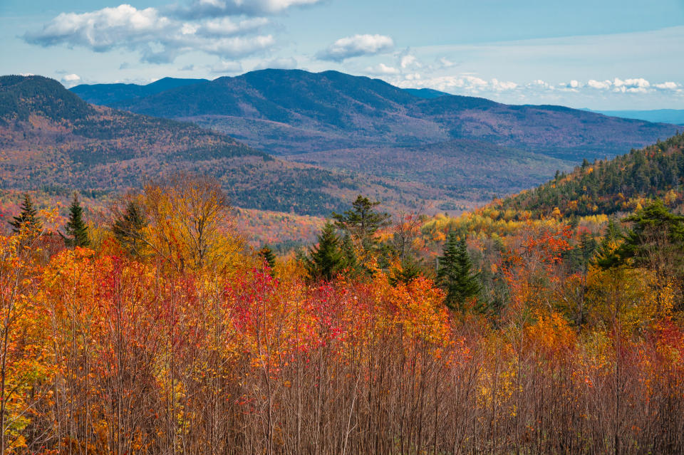 4 Reasons You Should Take a Road Trip Through New England This Fall