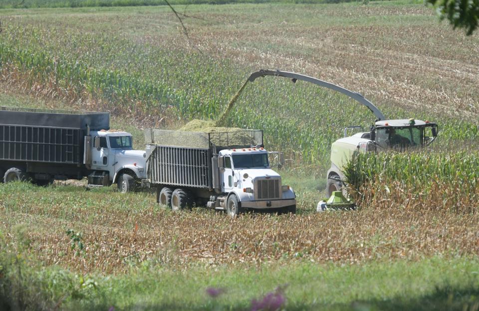 ‘A struggle to grow things’: Ohio’s drought has become worse and is threatening farmers