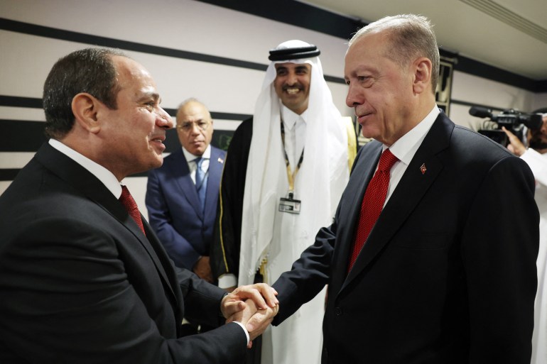 ‘Better together’: Presidents of Egypt, Turkey seek common ground in Ankara