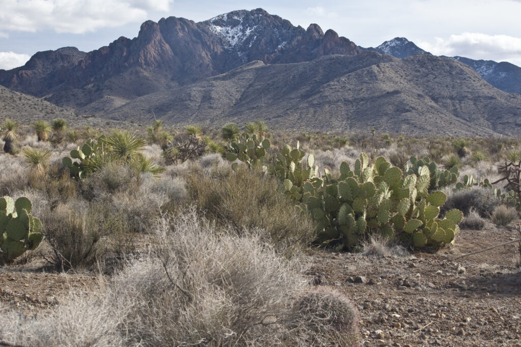 Bureau of Land Management ordered to review plan for mine outside Deming