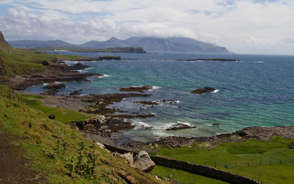 Conservationists hunt mystery seabird killer roaming on remote Scottish island