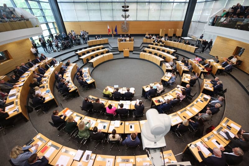 Constitutional court to decide of regional German parliamentary chaos