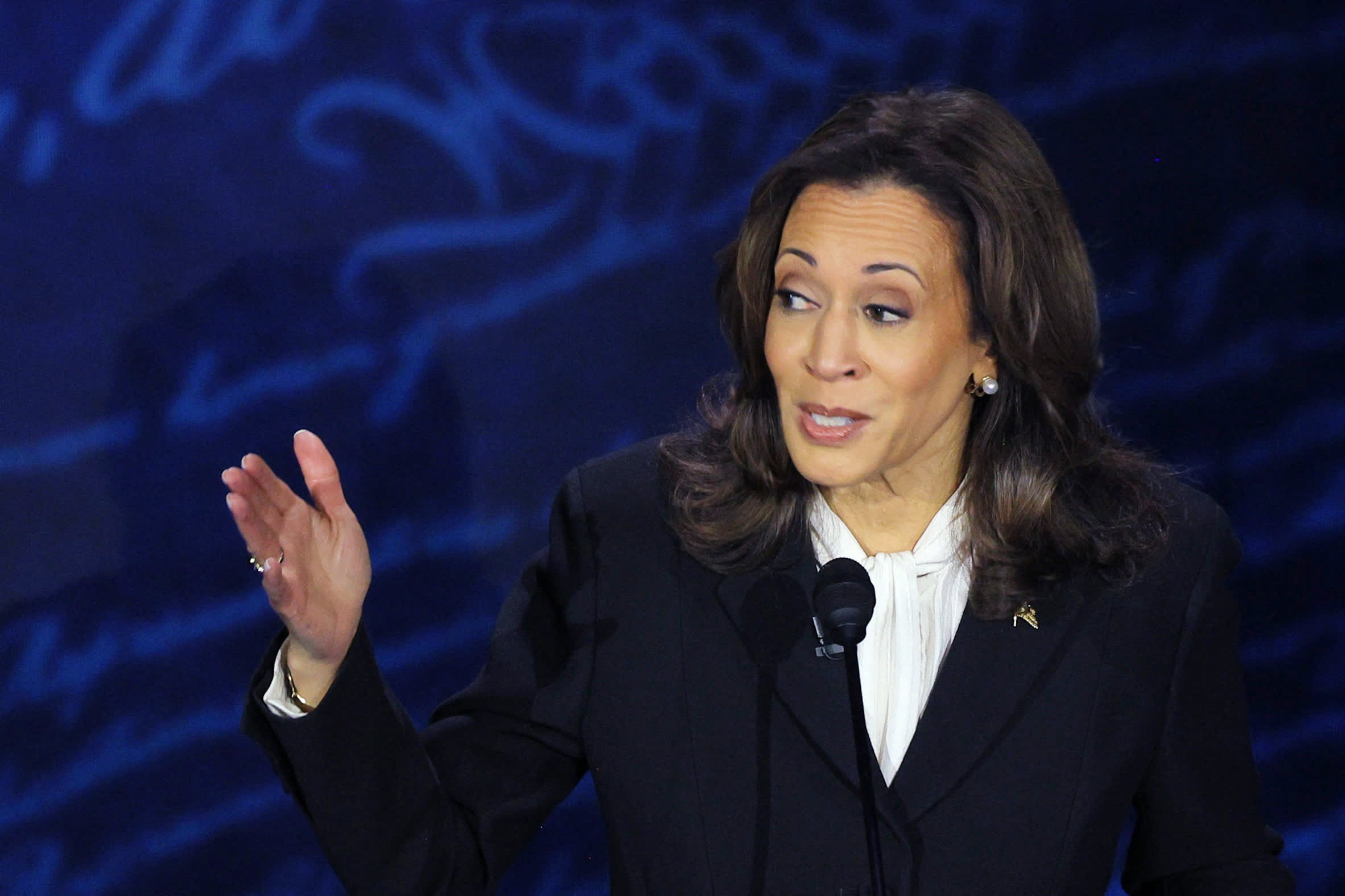 Deutsche Bank on what stocks to buy if Kamala Harris wins