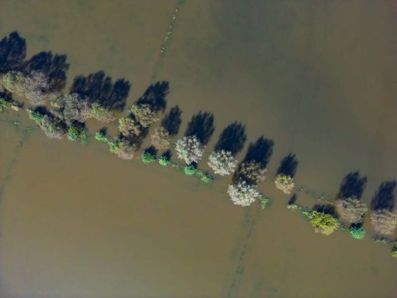 Eastern Germany reports flooding as new wave of water threatens towns