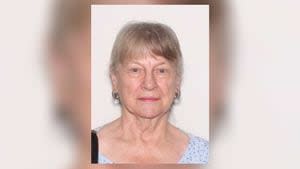 Endangered missing adult alert issued for 84-year-old Warren County woman