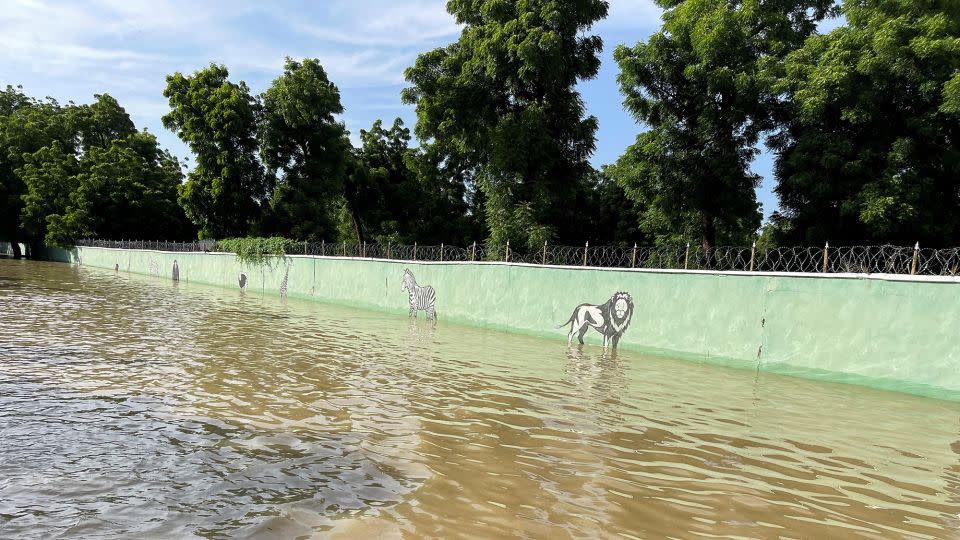 Floods gush through Nigerian zoo, sweeping snakes and crocodiles into neighborhoods