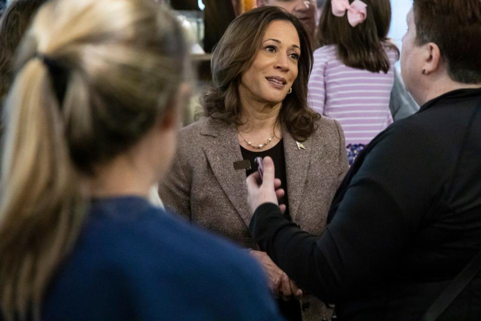 Fox News hosts furious after Kamala Harris gets jubilant reception at ‘meanest’ spice shop