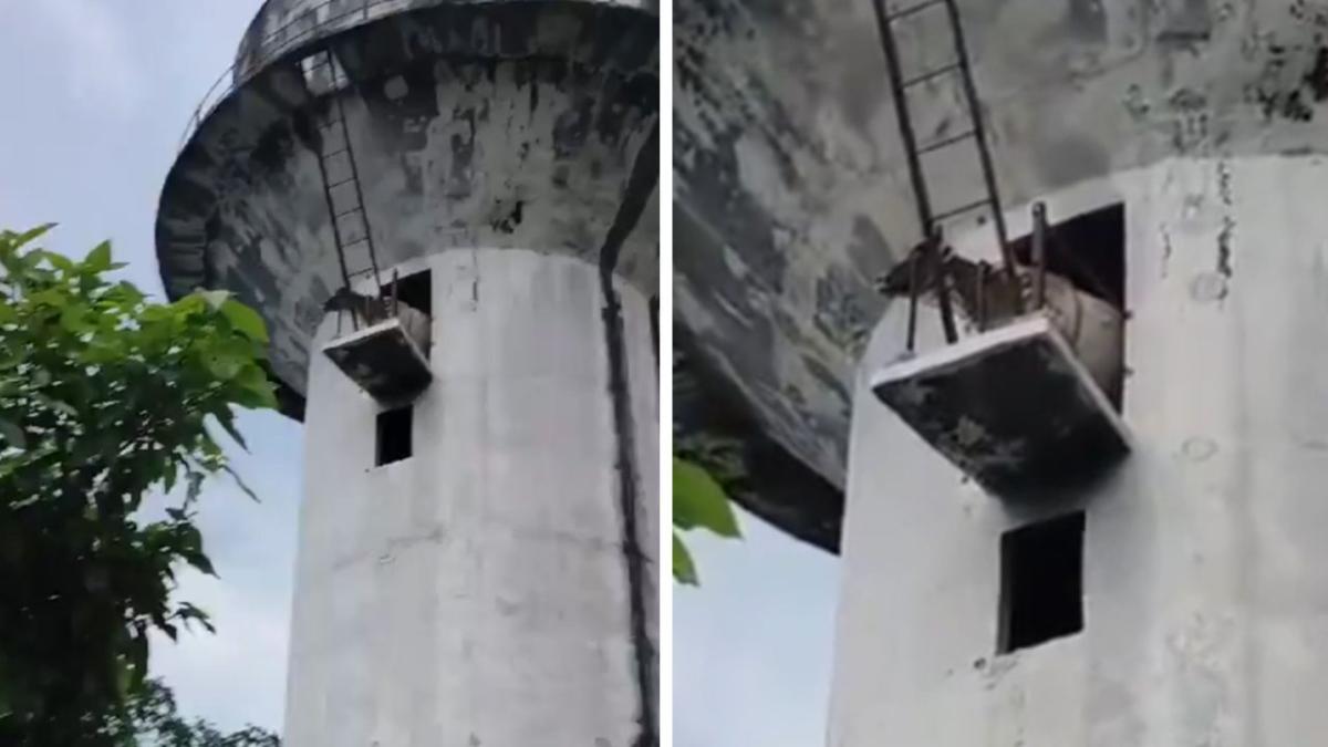 How did it get there? Cow climbs into a water tank and forces epic rescue