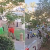 Mass tourist brawl at five-star Egyptian resort over unpaid hotel bills sees staff hospitalised