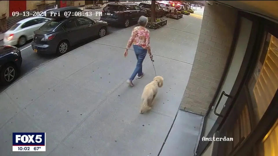 NYC woman, 81, walking dog feels ‘lucky’ to be alive after video shows man brutally punching her in the face