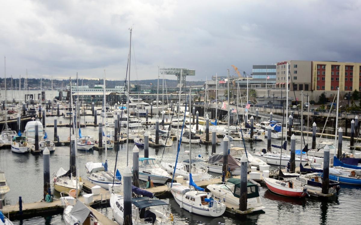 Otter drags child underwater off marina dock