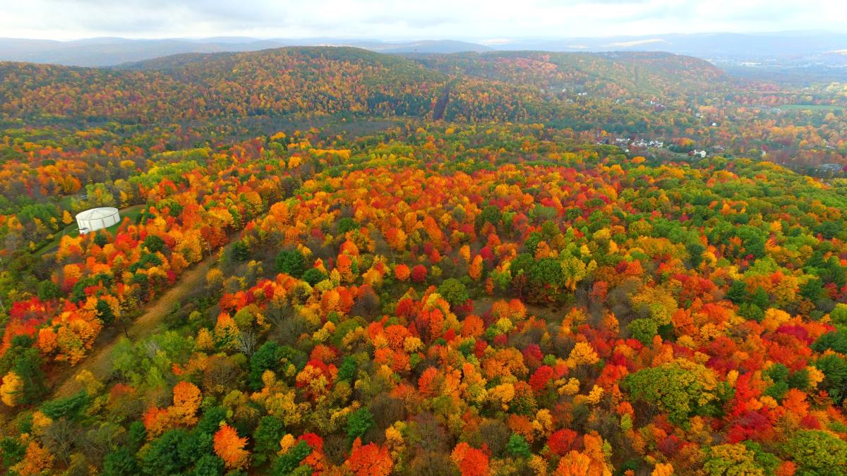 Peak fall foliage in the Southern Tier will be here sooner than you think