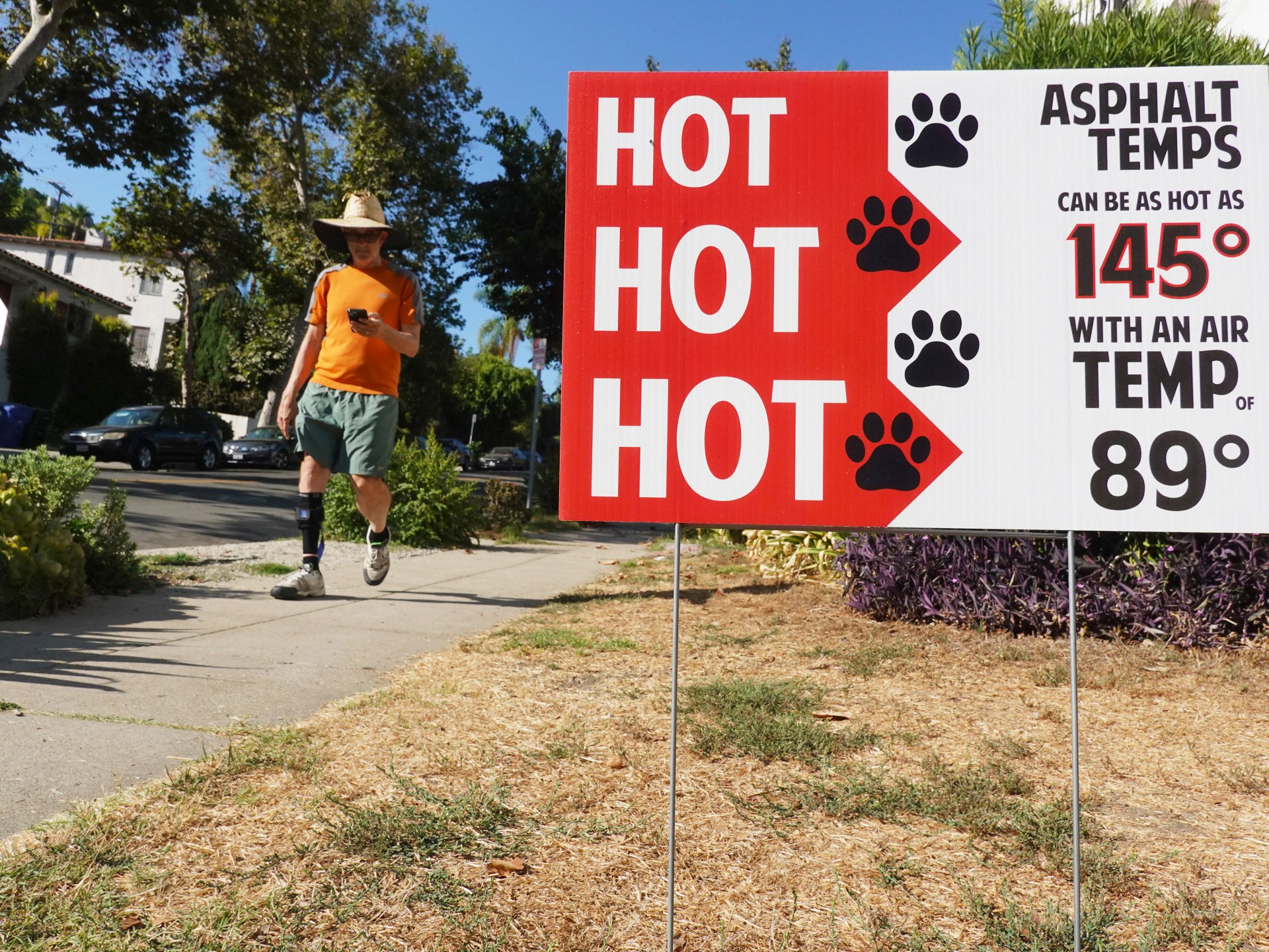 Record summer temperatures set world on course for hottest year ever