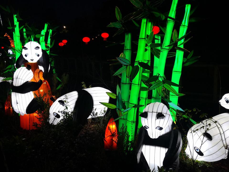 The Racine Zoo’s Jack-O’-Lantern Nights return next week. Here’s what to know