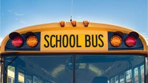 ‘Vagabond pooch;’ Stray dog tries to catch ride on Ohio school bus