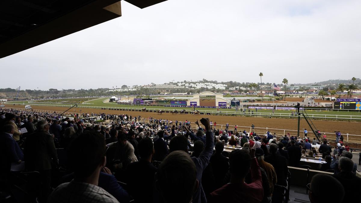 2024 Breeders’ Cup World Championships: Entries, post times, post positions, odds, full schedule