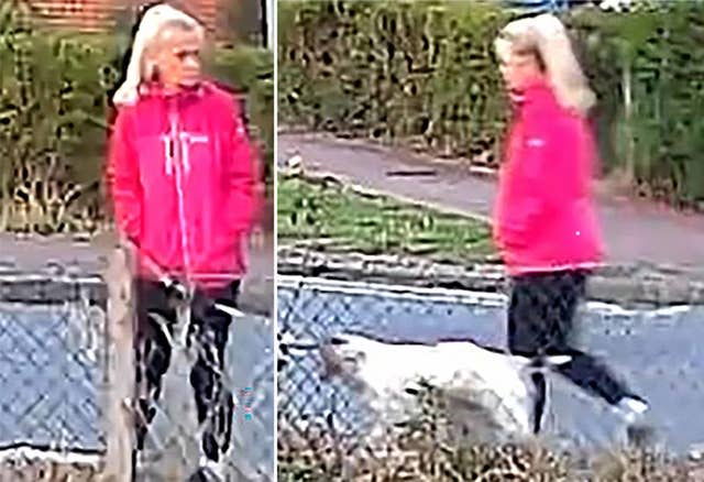 Daughter of murdered dog walker says attacker needs to face justice