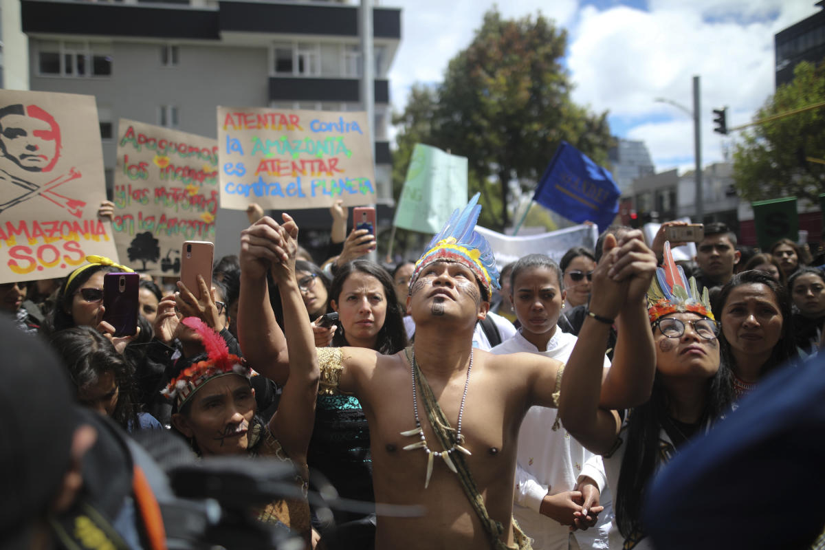 Efforts to combat deforestation in Colombia hindered because of armed groups, report finds