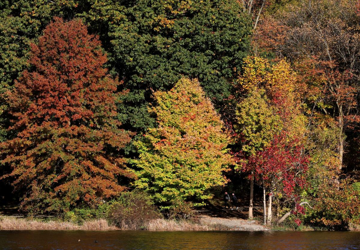 Fall foliage tracker: Are leaves changing in the Hudson Valley?