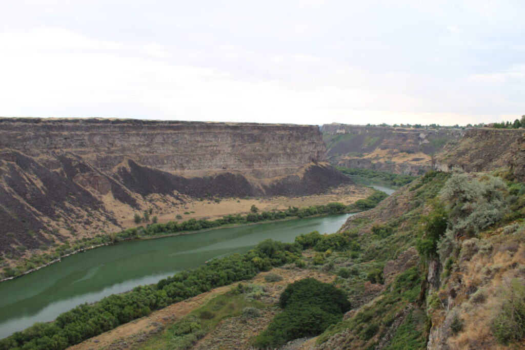 Idaho agriculture department plans second quagga mussel treatment in Snake River in November