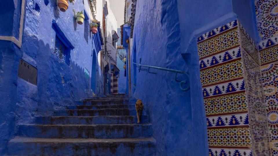 Jodhpur: India’s vanishing ‘blue’ city