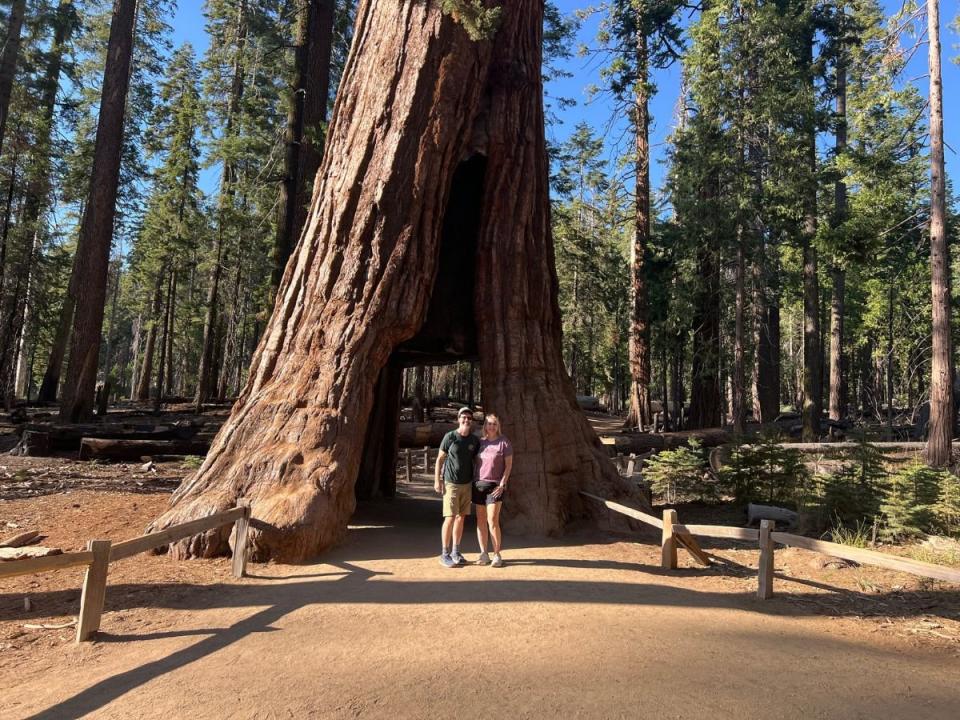 One Perfect Day in Yosemite: Nature’s Majesty Unveiled