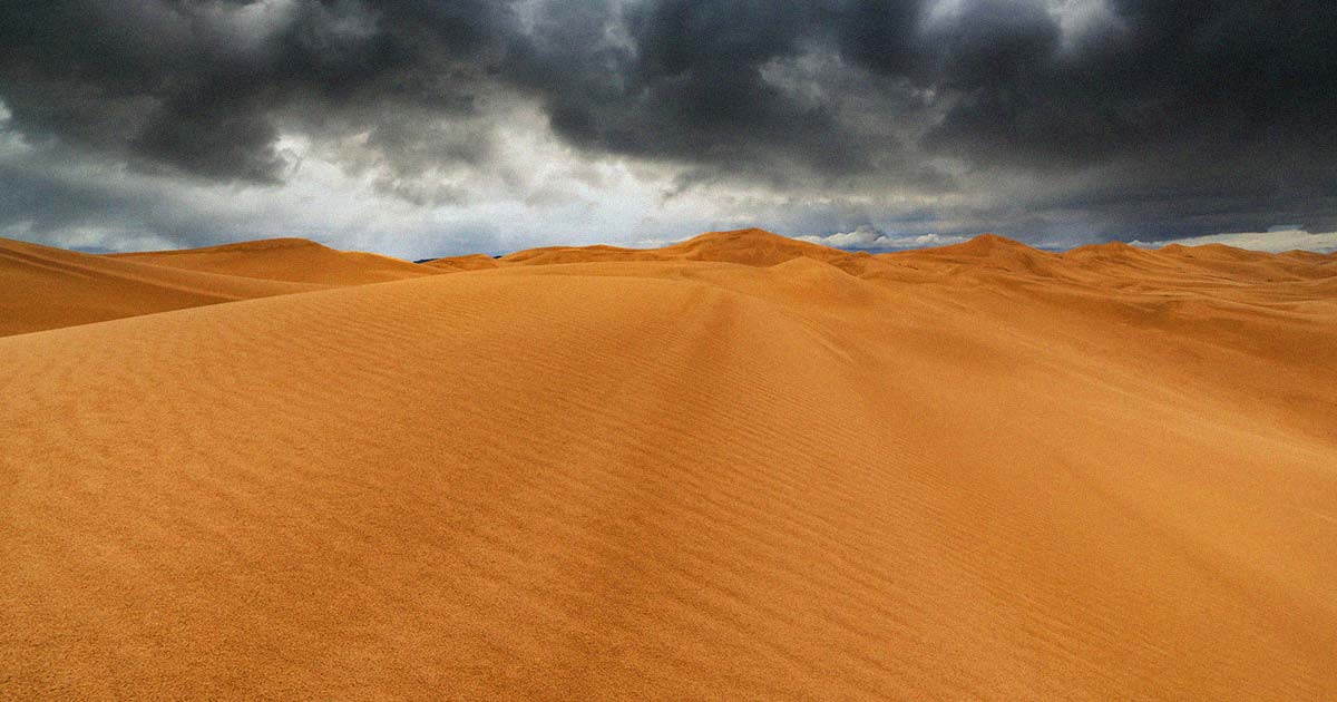 Our Climate Is So Screwed Up, It Rained in the Sahara Desert