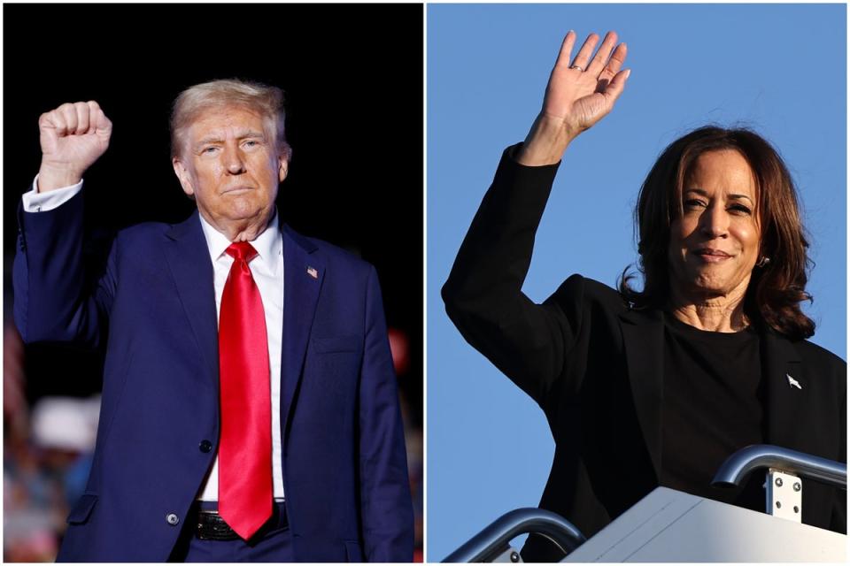 Trump gaining in polling to win the ‘Blue Wall’ states as Harris poll momentum slows