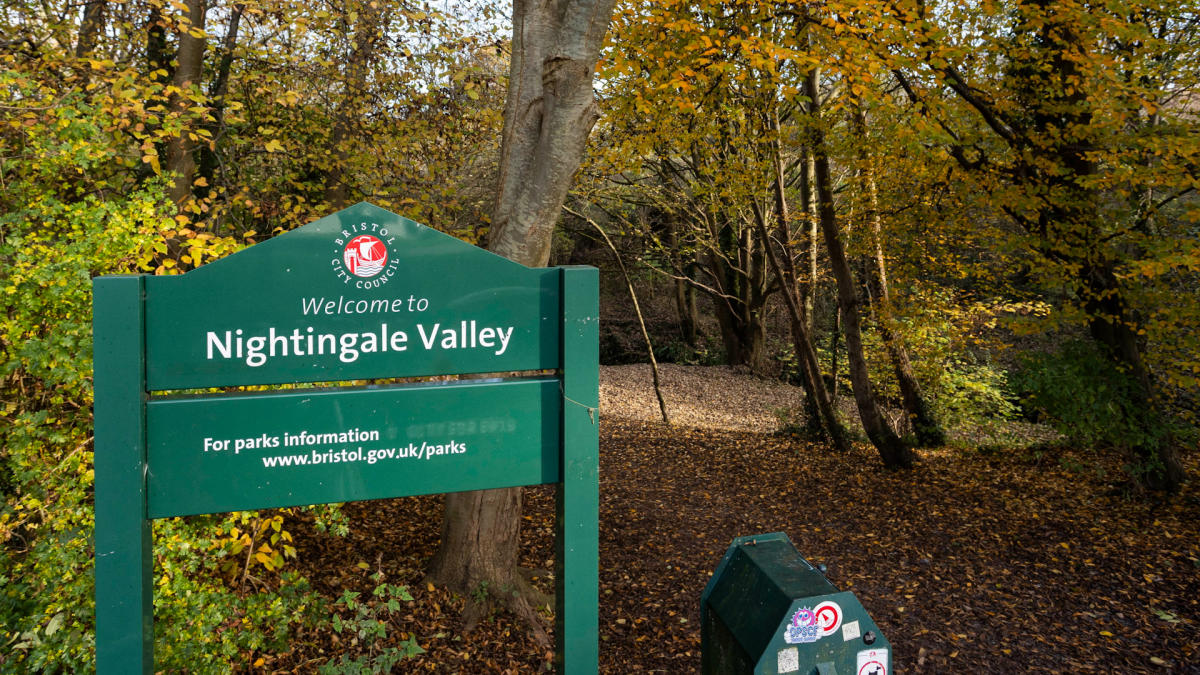 £350k property has 100-year-old flytip waste that will ‘cost million to clear’