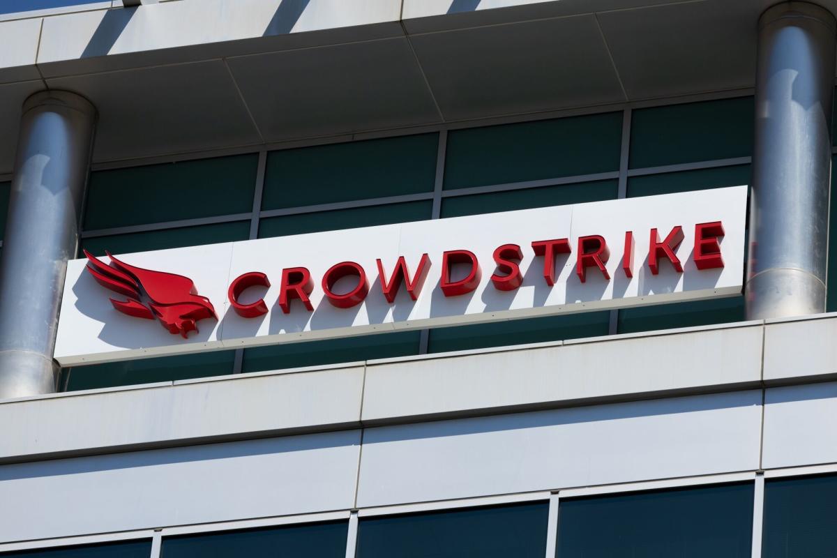 CrowdStrike Falls After Disappointing Earnings Outlook