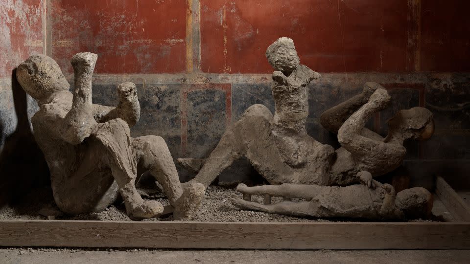 DNA analysis upends long-held assumptions about Pompeii victims’ final moments