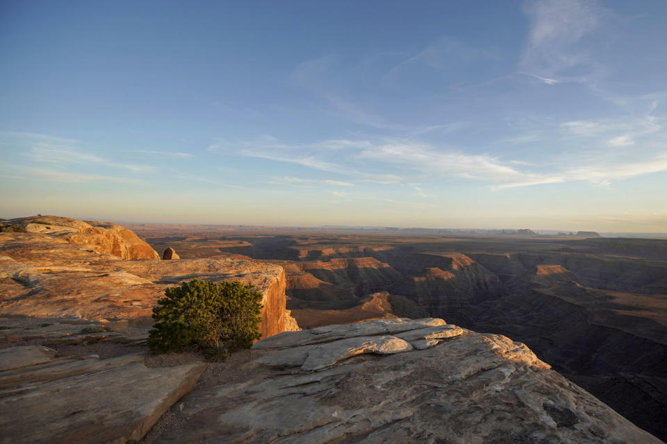 Environmental groups prepare to fight a new Trump administration