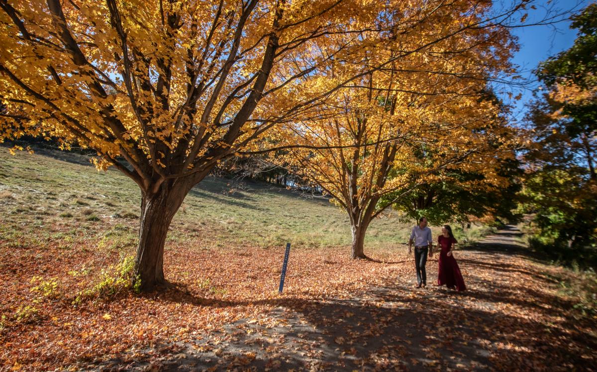 Explore the trails and scenery at Rockefeller State Park Preserve in Westchester County