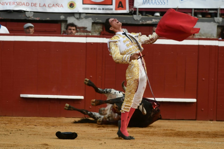 French Senate rejects bill to ban under-16s from attending bullfights