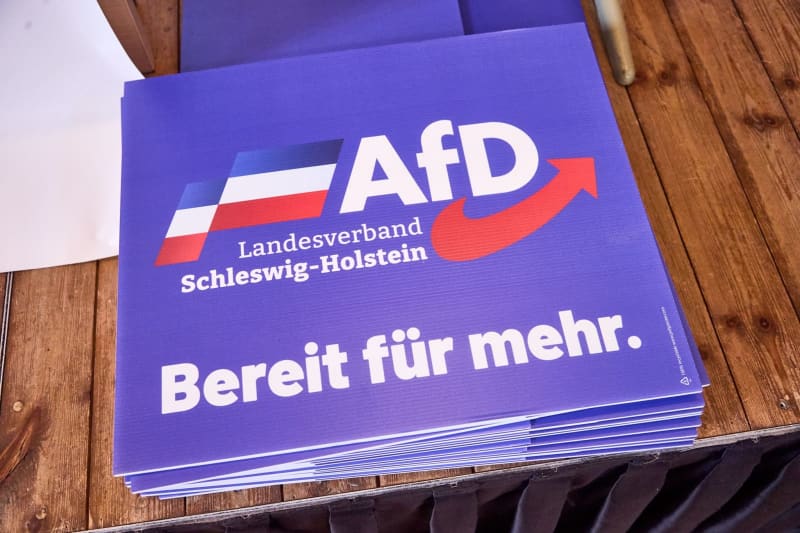 Germany’s far-right AfD to remain under investigation until election