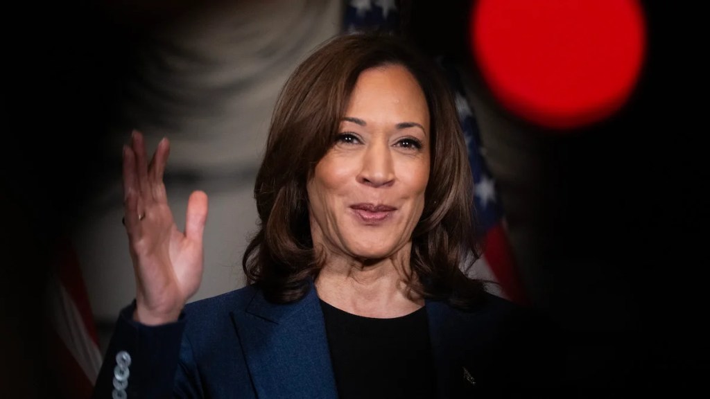 Harris Surrogate Says Joe Biden Gave a ‘Big F You’ to Fellow Democrats With Kamala Endorsement | Video