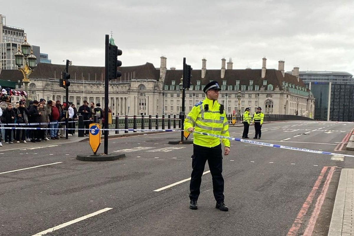 Man ‘stabbed’ on Westminster Bridge actually suffered cardiac arrest – police