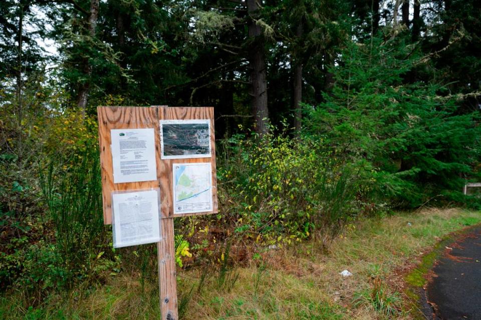 Pierce County warehouse project near popular trail approved; 100s of trees to be removed