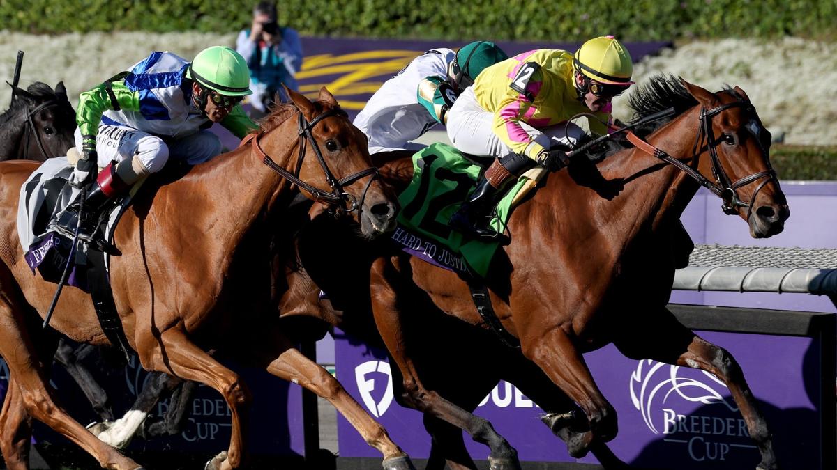 Previewing all 14 races at the 2024 Breeders’ Cup: From top picks to long shots at the Classic and more