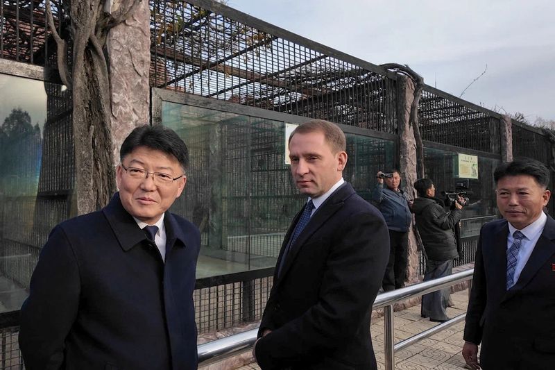 Putin gifts zoo animals, including lion and bears, to North Korean zoo