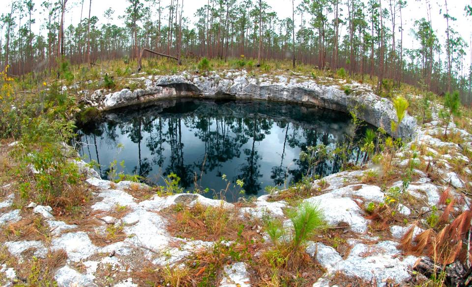 Researchers found a treasure trove of fossils in a Bahamian blue hole that could transform our understanding of the island