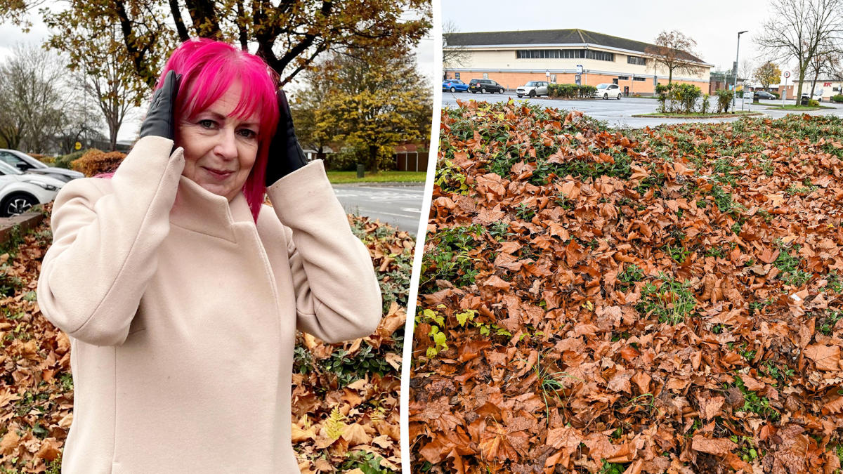 Residents complain about being awoken at 5.30am by noisy LEAF BLOWER