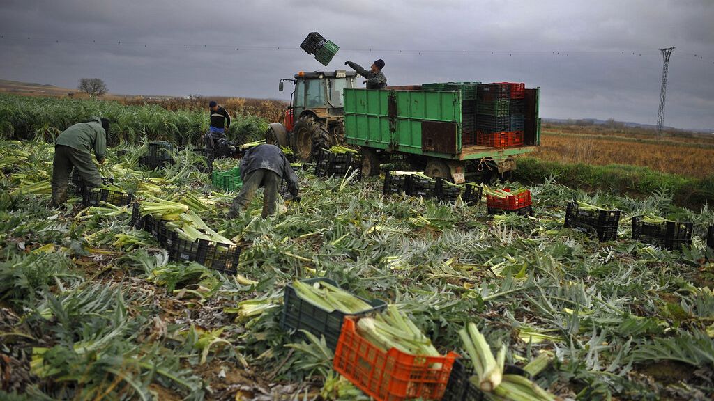 Spanish farmers lash out against Mercosur: ‘They will end European agriculture’