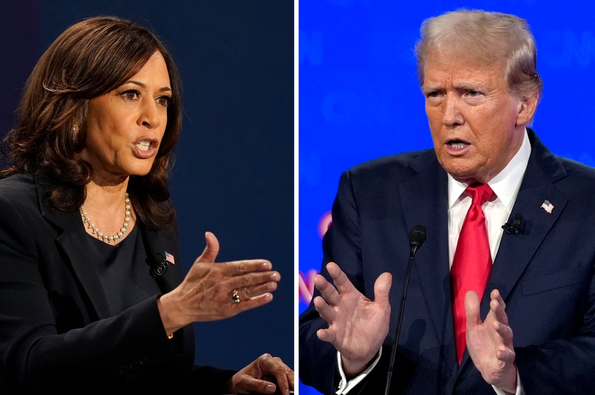 US election results so far as Donald Trump and Kamala Harris race for White House