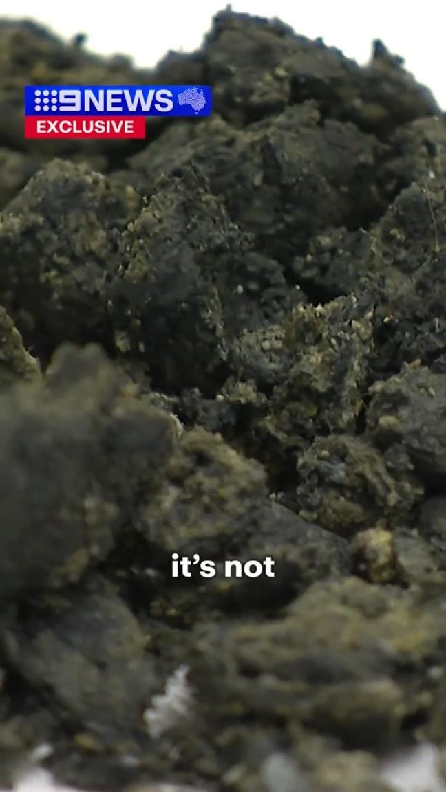 Watch: Suspected tar balls on Sydney beaches actually poop-filled ‘fatbergs’