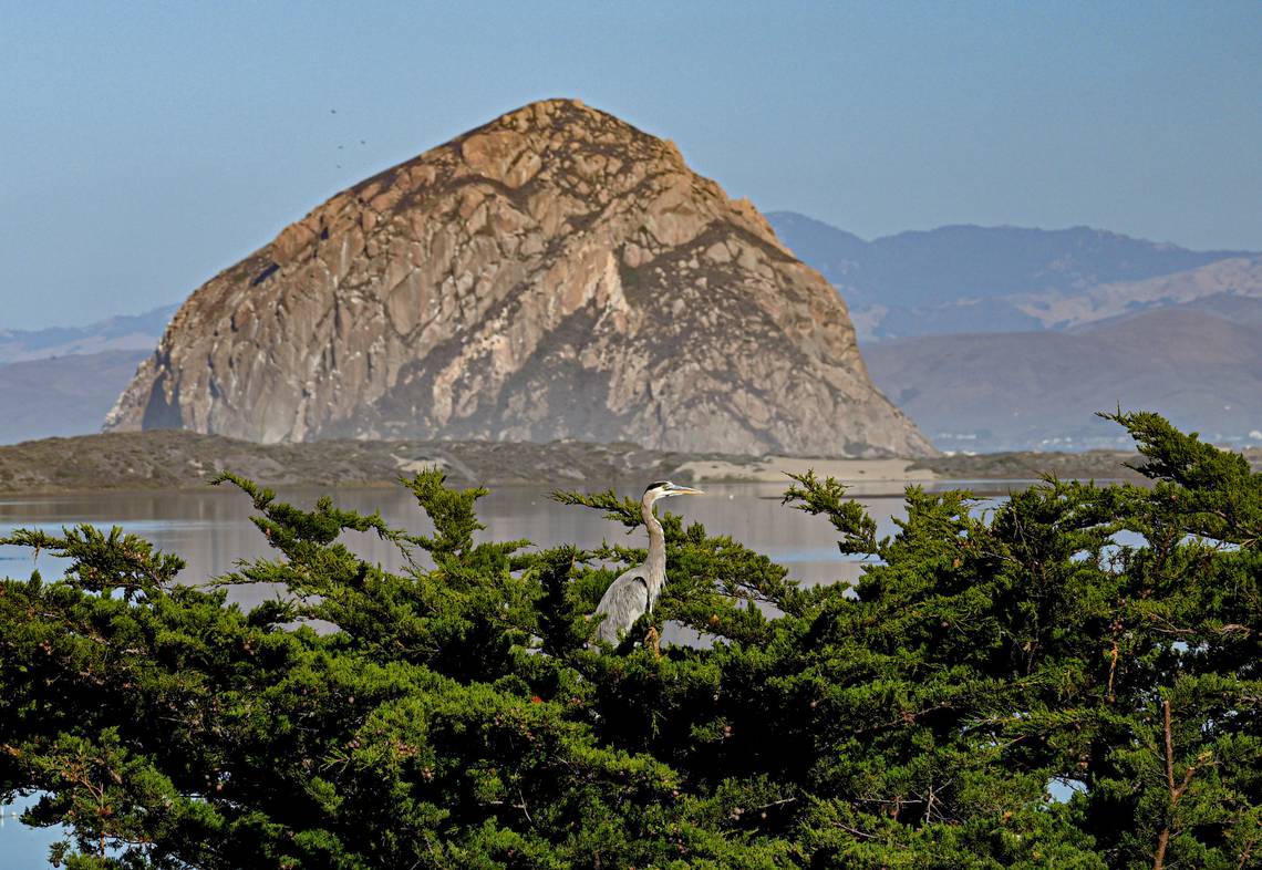 We’re on track for a La Niña winter. What does that mean for SLO County?