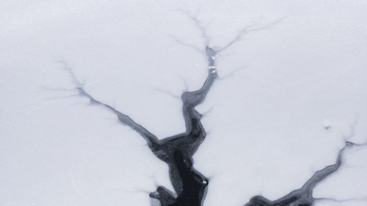 A Mysterious Lifeform Has Emerged From the Bottom of a Lake That Should Be Entirely Frozen