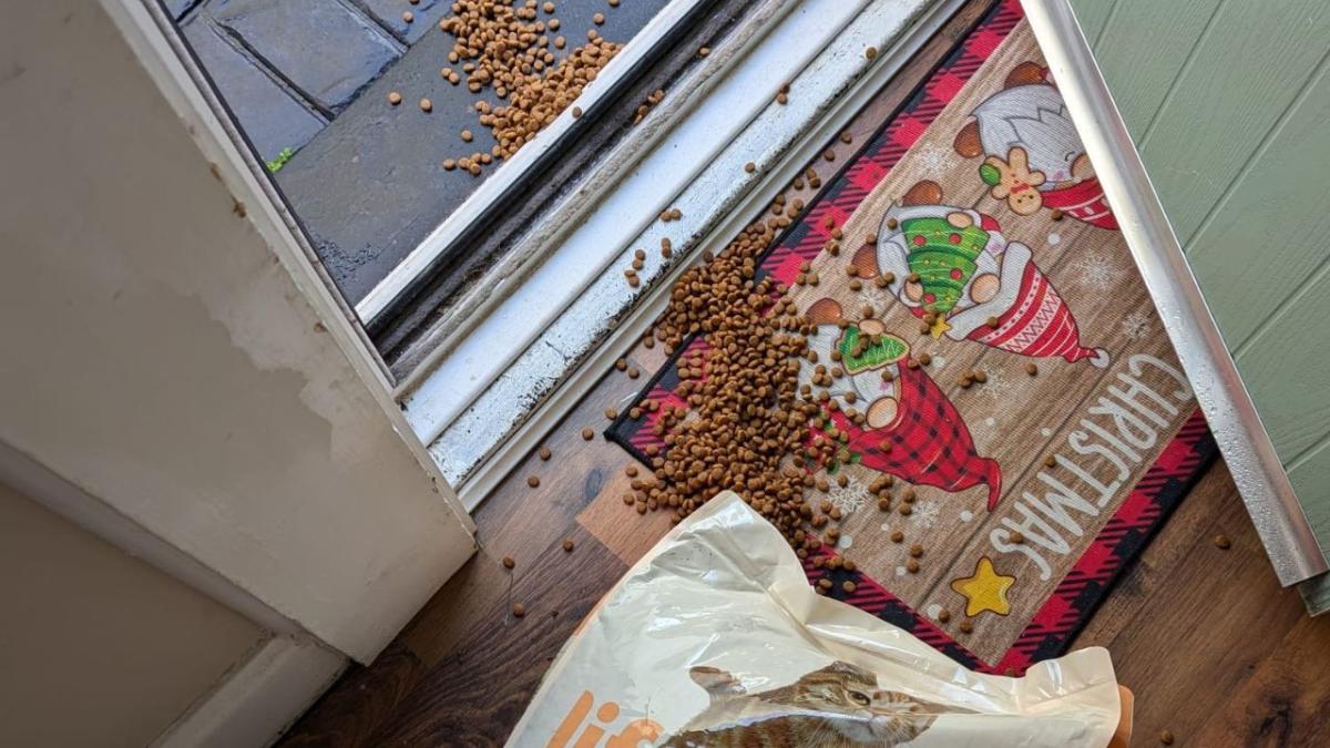 Amazon driver chucks cat food delivery – causing it to split and spill open