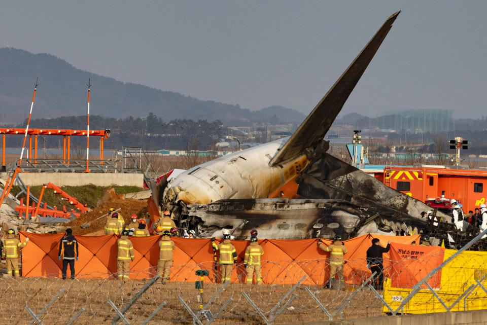 Aviation expert casts doubt on bird strike theory in deadly South Korean plane crash: ‘Doesn’t make sense’